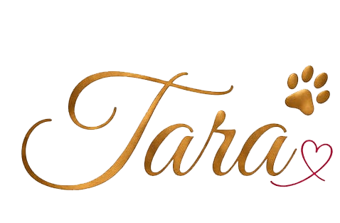 Logo Au collier de Tara sur fond foncé